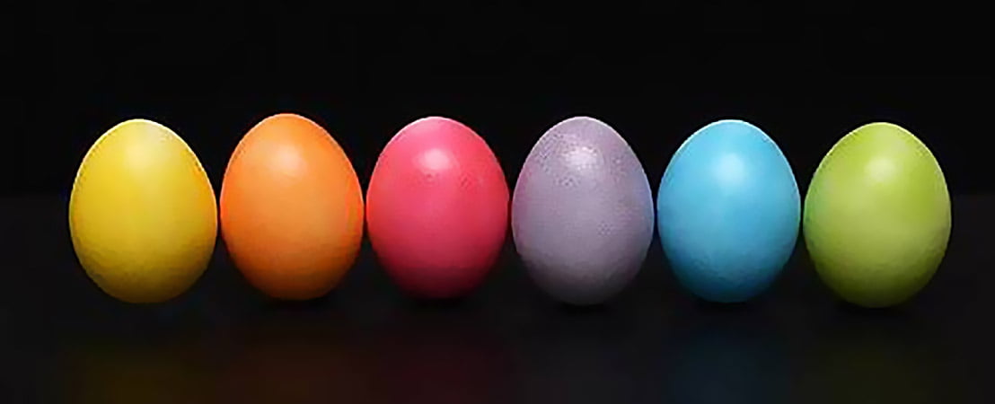 Ramo Roxo E Violeta E Roxo