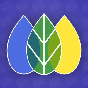 Seo Manager Shopify 300